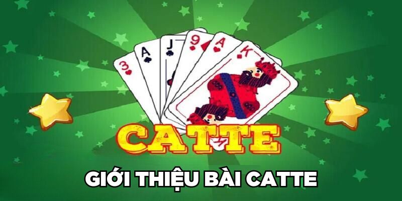 Trò chơi bài Catte là gì